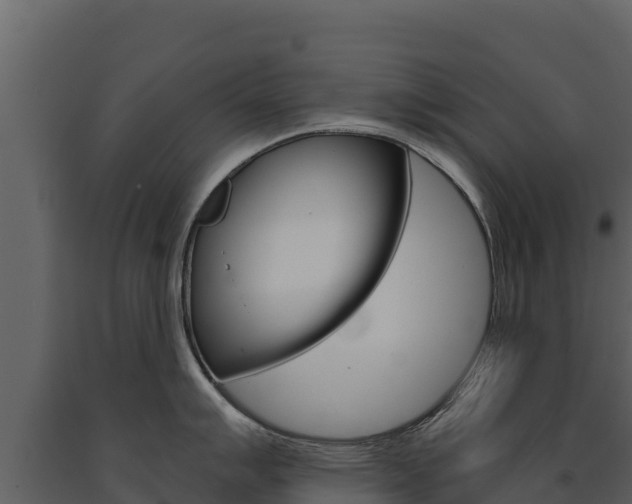 X0000091721007200708241015