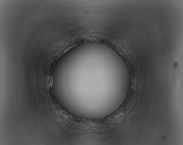 X0000091721010200708241014