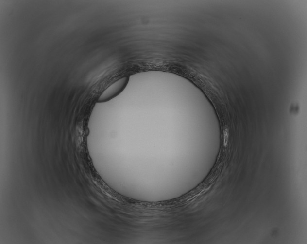 X0000091721011200708241014