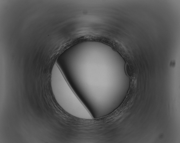 X0000091721012200708241014