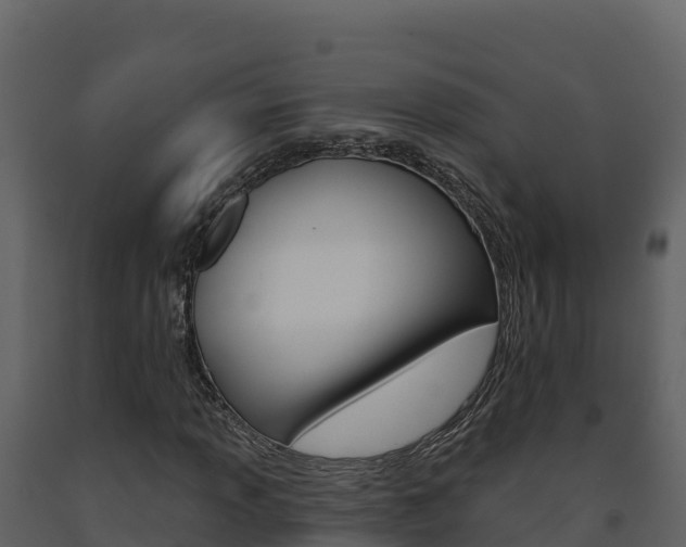 X0000091721013200708241014