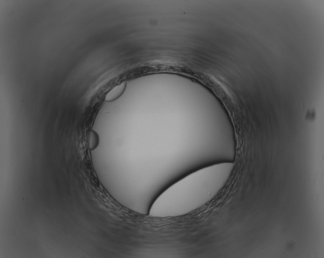 X0000091721015200708241014
