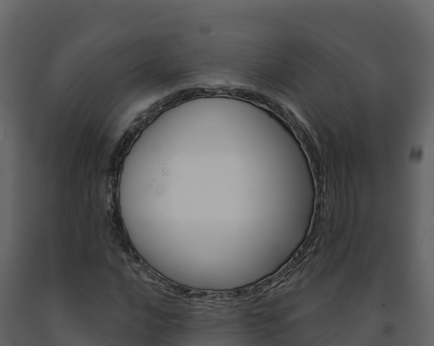 X0000091721016200708241014