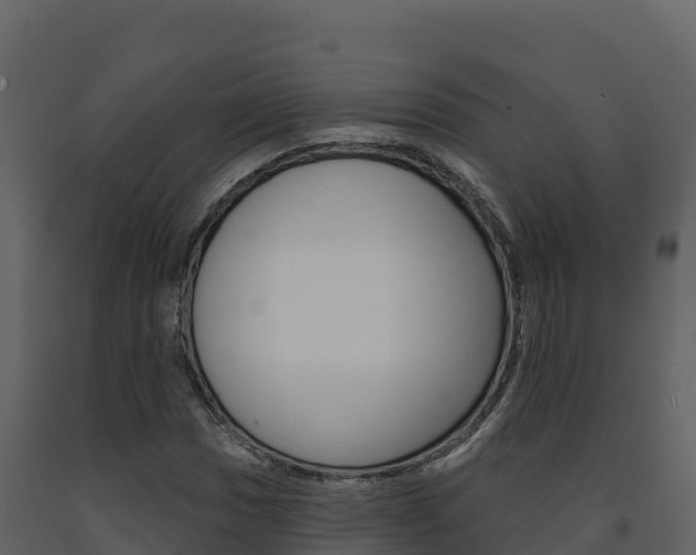 X0000091721017200708241014