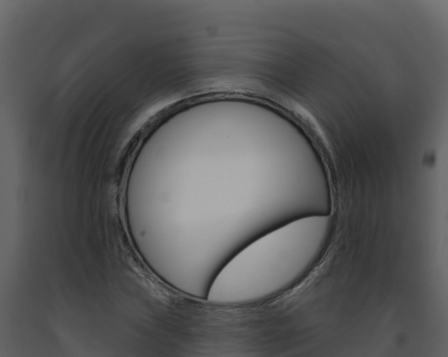 X0000091721019200708241015