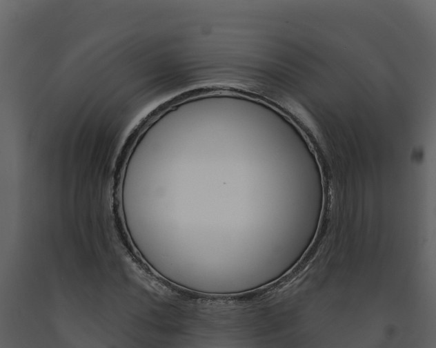 X0000091721020200708241015