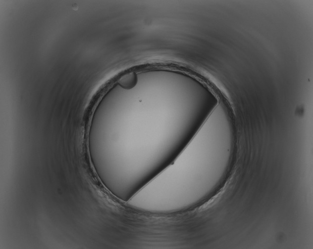 X0000091721021200708241015