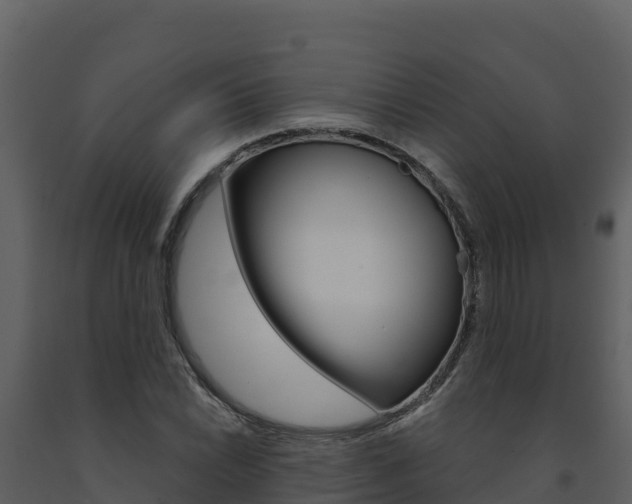 X0000091721022200708241015