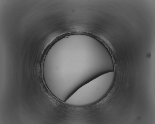 X0000091721023200708241015