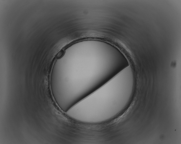 X0000091721025200708241015