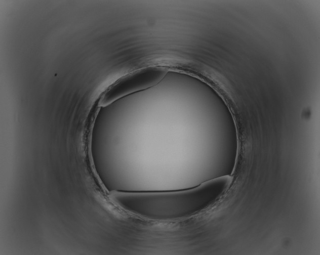 X0000091721026200708241015