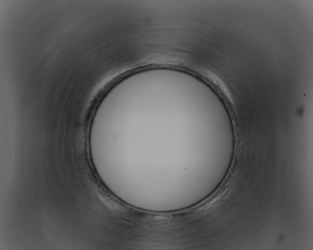 X0000091721027200708241015