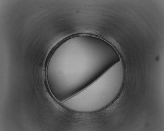 X0000091721028200708241015
