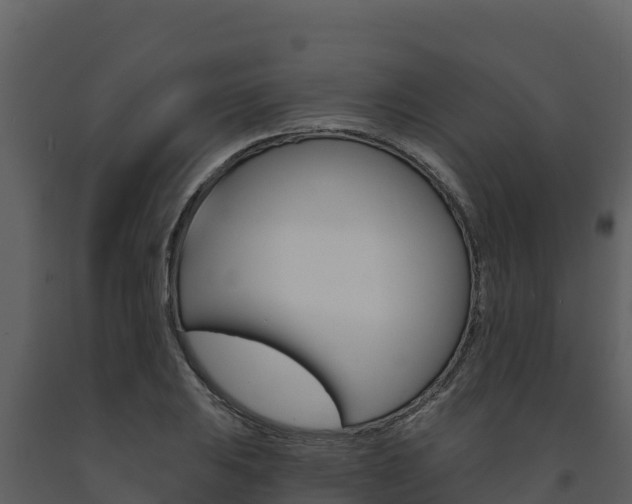 X0000091721031200708241015