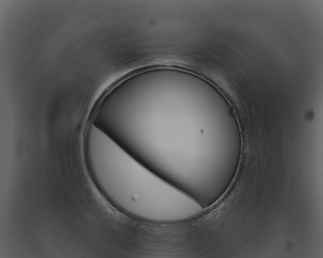 X0000091721032200708241015