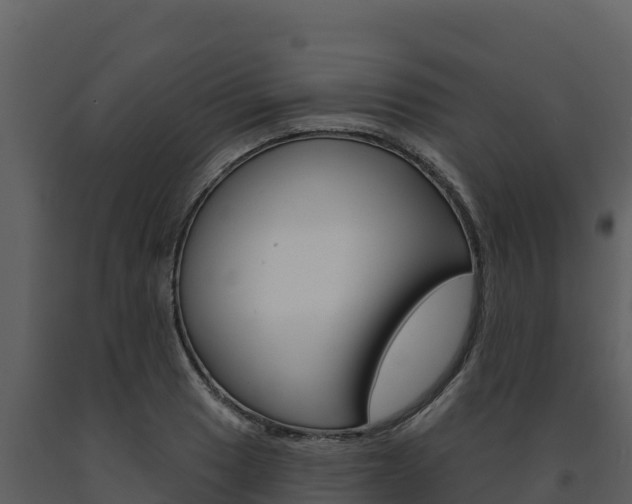 X0000091721033200708241015