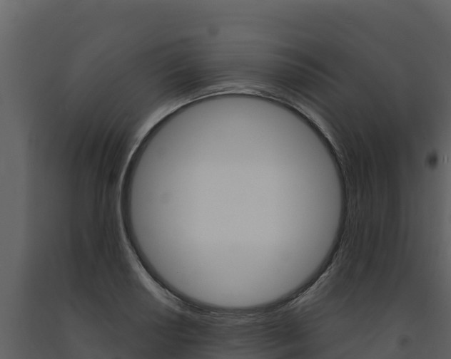 X0000091721034200708241015