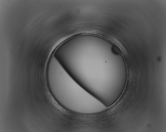 X0000091721036200708241015