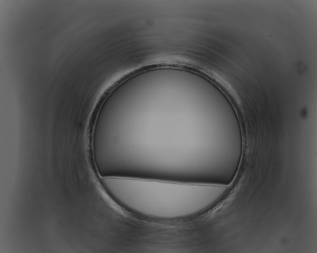 X0000091721037200708241015