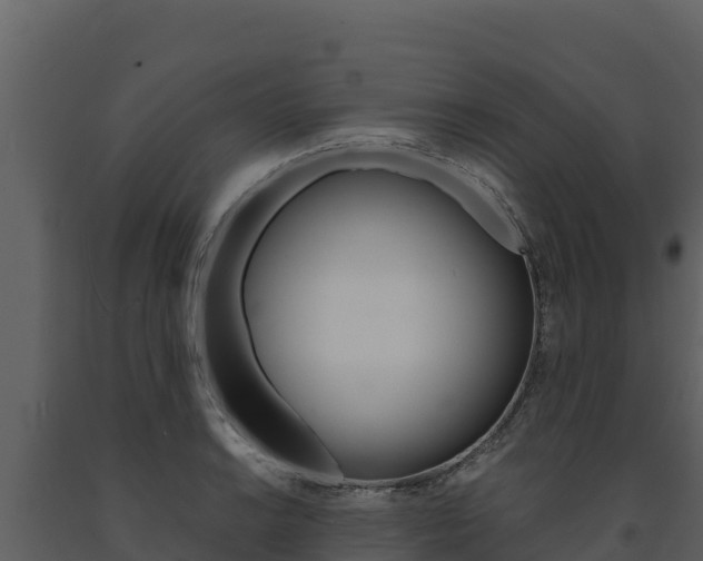 X0000091721038200708241015