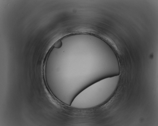 X0000091721039200708241015