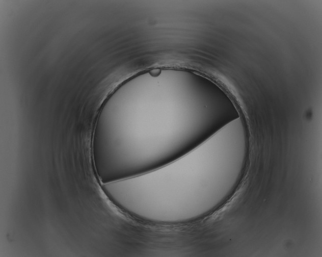 X0000091721041200708241015
