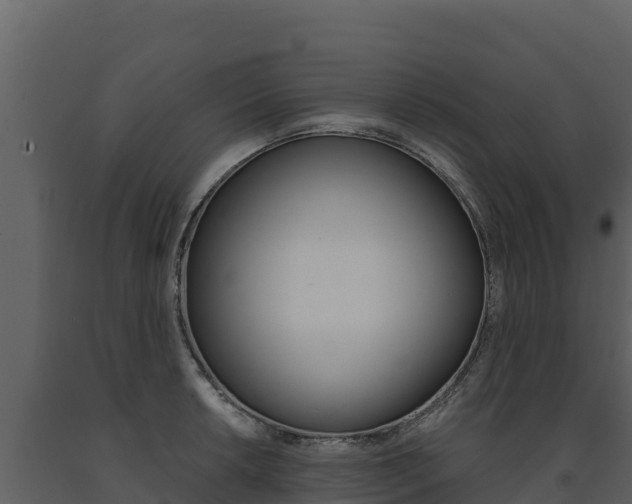 X0000091721042200708241015