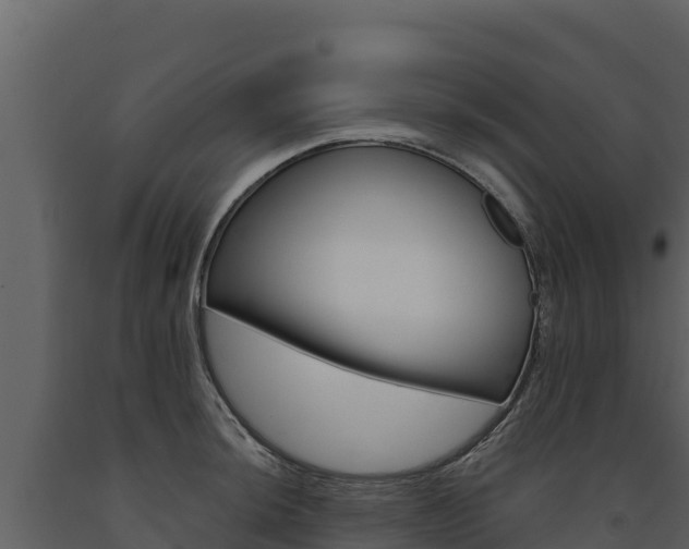 X0000091721044200708241015