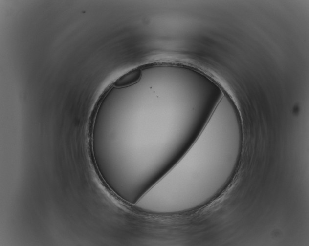 X0000091721045200708241015