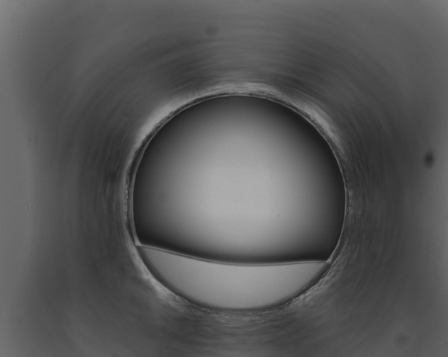 X0000091721046200708241015