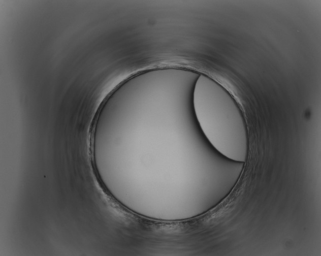 X0000091721047200708241015