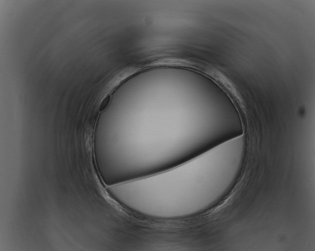 X0000091721049200708241015