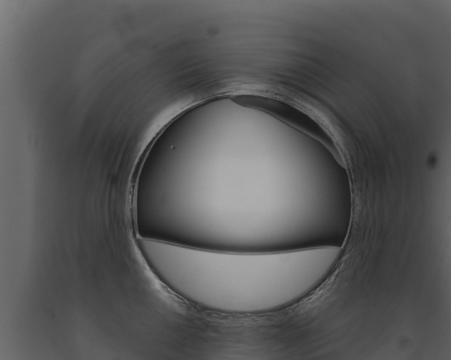 X0000091721050200708241015