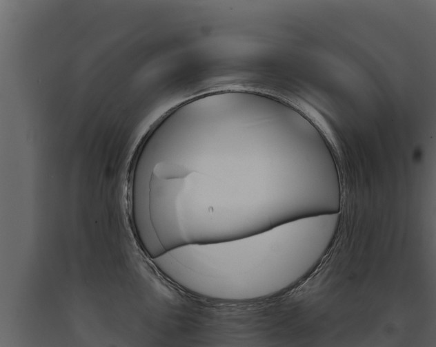 X0000091721051200708241015