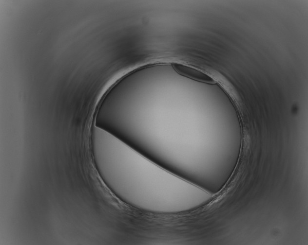 X0000091721052200708241015