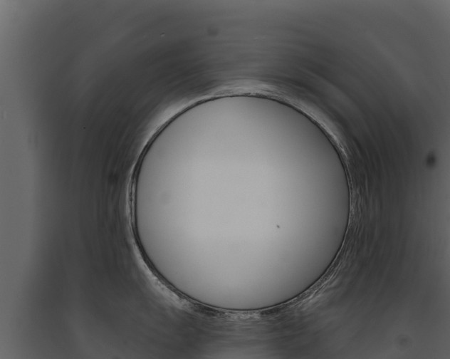 X0000091721055200708241015