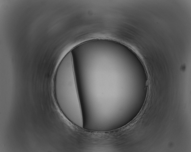 X0000091721056200708241015