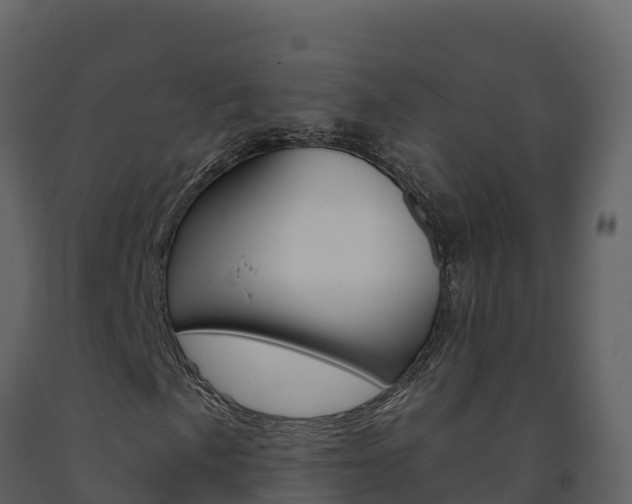 X0000091721057200708241014