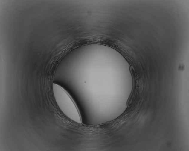 X0000091721058200708241014