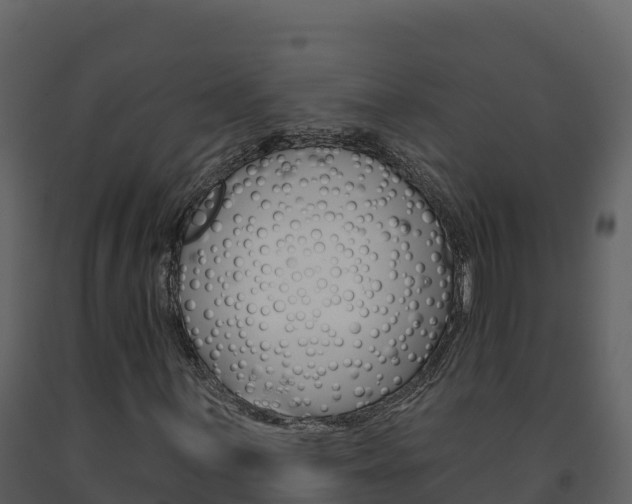 X0000091721059200708241014
