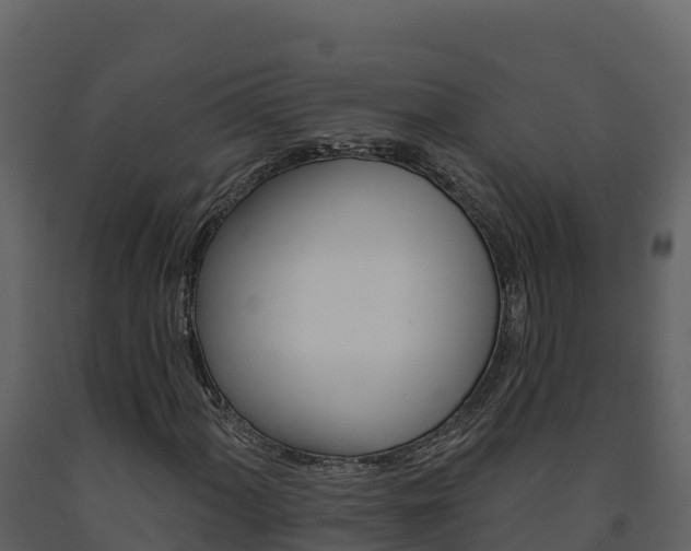 X0000091721060200708241014