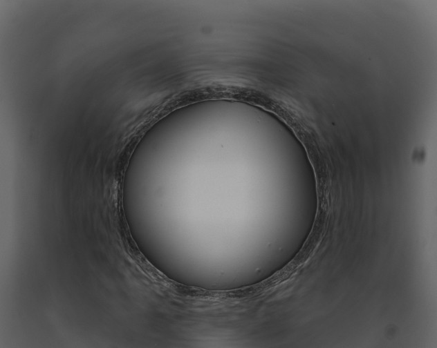 X0000091721061200708241014