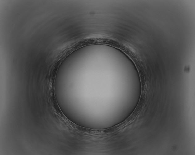 X0000091721062200708241014