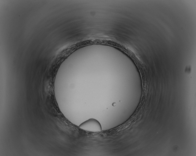 X0000091721063200708241014