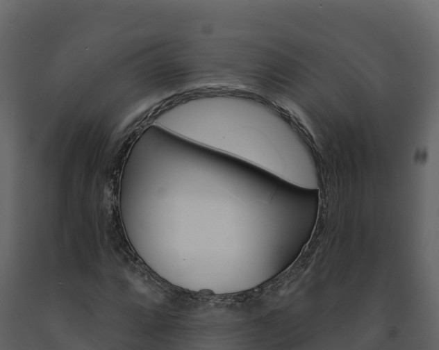 X0000091721064200708241014