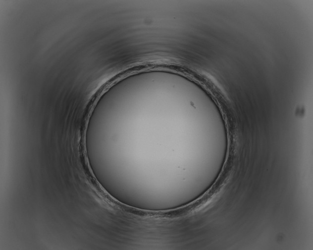 X0000091721065200708241014