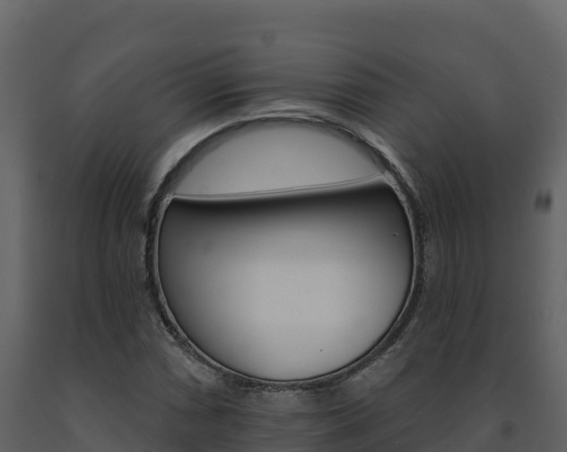 X0000091721066200708241014
