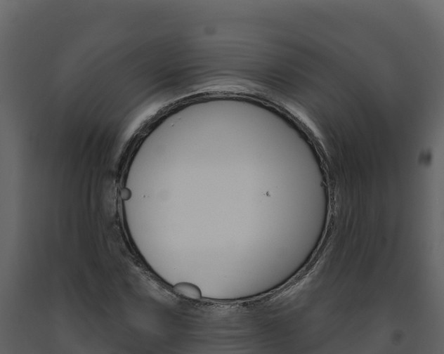 X0000091721067200708241014