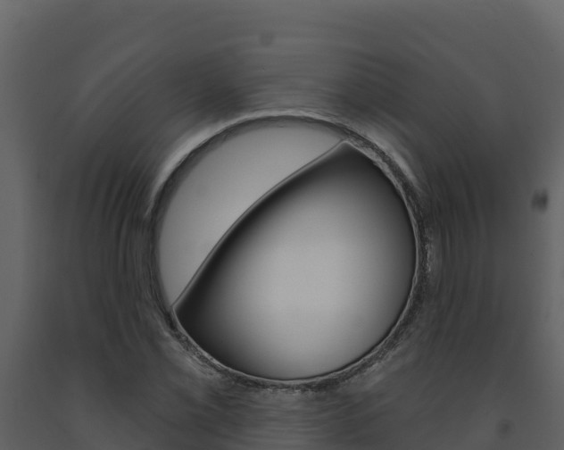 X0000091721069200708241014