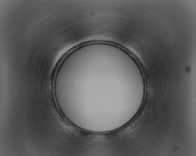 X0000091721070200708241014